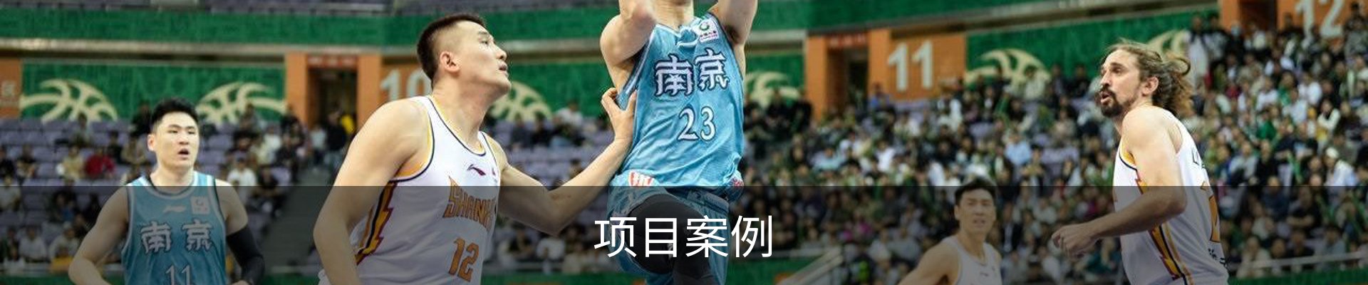 项目案例